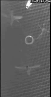 cheezburger video games