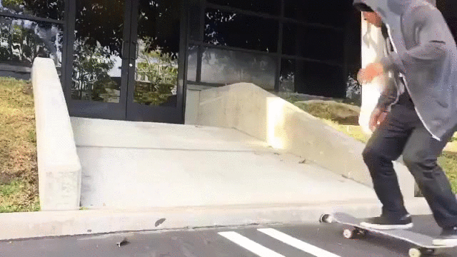 skateboard level tricks