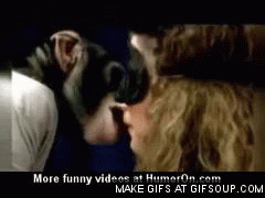 kissing prank apes