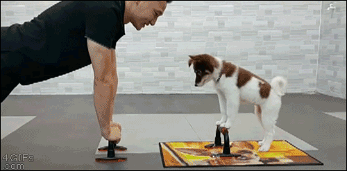 puppy pushups