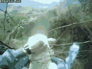 cheezburger video games fails sheep