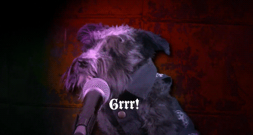 metal dog national day