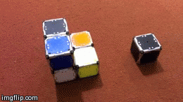 mit john romanishin popular science