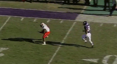 animated football illini