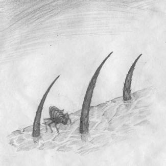 mirandapfeiffer art miranda pfeiffer