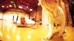 chris brown christopher maurice gif
