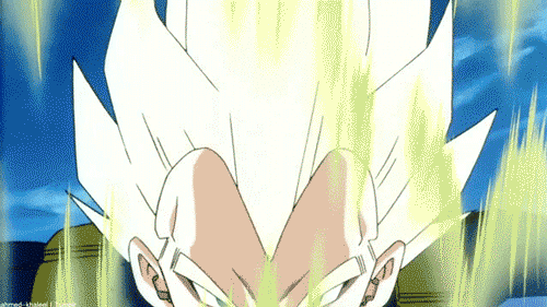 animation dragon ball z vegeta