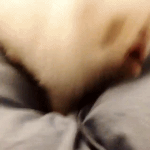 dog puppy godfrey gao