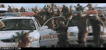 cheezburger bollywood guns