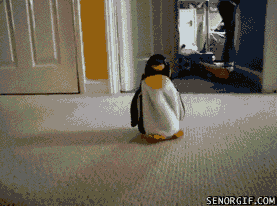 cheezburger dog robots