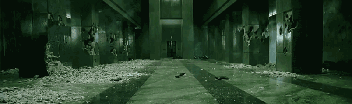 puppy cage groceries