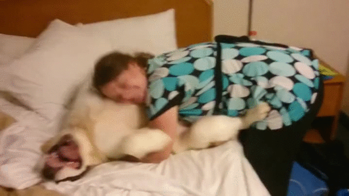 puppy bernard floppy