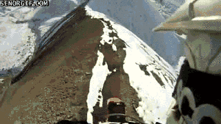 cheezburger video games win