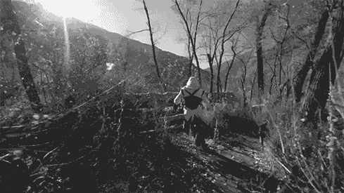 video games assassins creed stunt