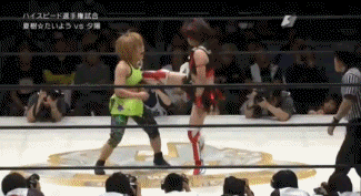 pro wrestling figure suplex