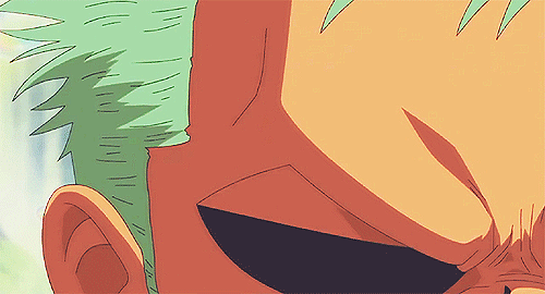 one piece roronoa zoro