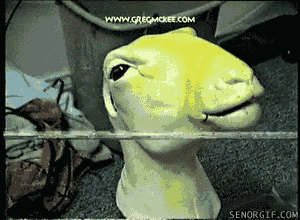 cheezburger video games wtf babe