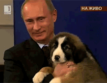 puppy putin