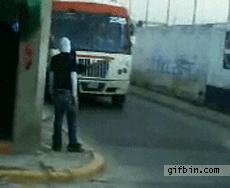 funny pictures collection