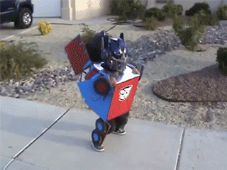 kid costume transformer