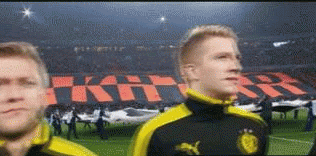 football yay borussia dortmund