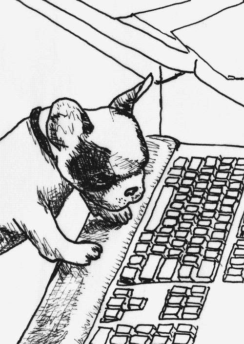 matthiasbrown dog puppy