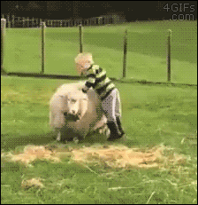 kids steed preciousgifs