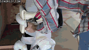 cheezburger mindwarp yikes