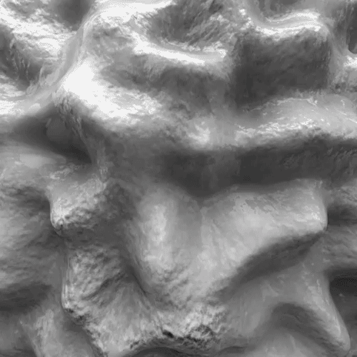 29thfloor 3d loop everyday