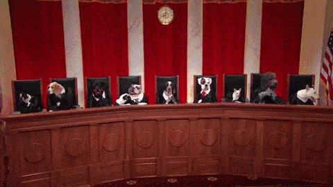 puppy supreme court