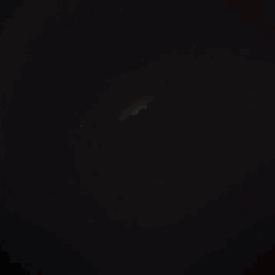 football soccer style