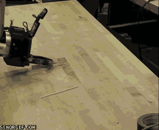 cheezburger funny hands