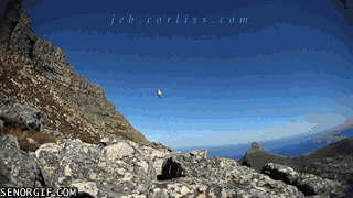 cheezburger video games fail yikes