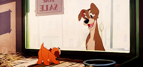 puppy lady and the tramp