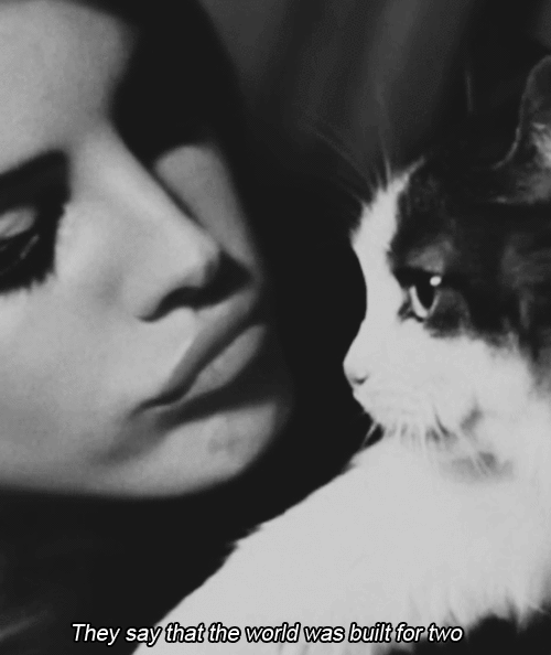 cat video games lana del rey