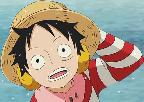 animated one piece