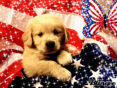 picture puppy america