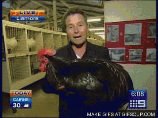 football week magnolia