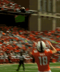 animated football illini