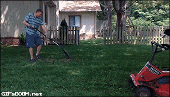 dog lawnmower yard work