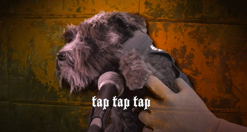 metal dog national day