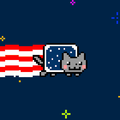 cat america fourth of july
