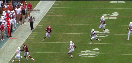 football season report