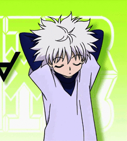 anime gif hunter x