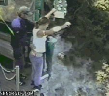 cheezburger fail fall