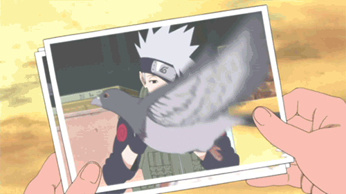 naruto kakashi shuppuden