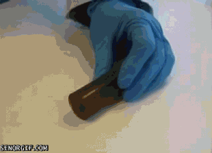 cheezburger funny technology