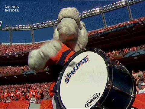 funny photobucket football