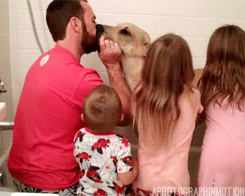 puppy kissing kisses