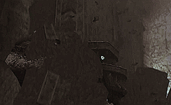 shadow of the colossus sotc